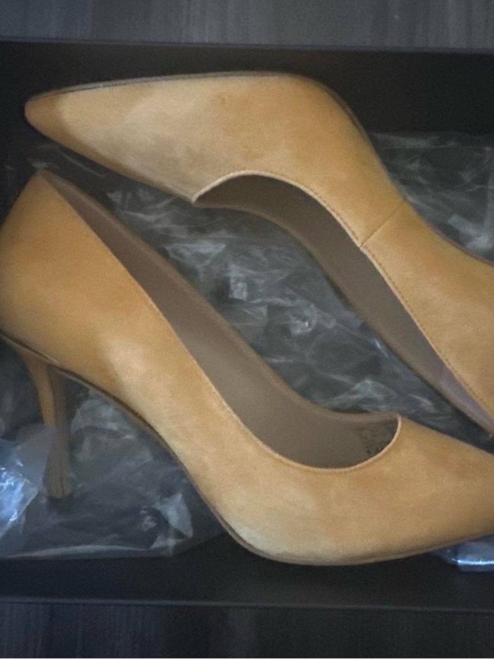 Coach Wiley Suede Pumps